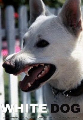 White Dog Full Free Movie 的图像结果