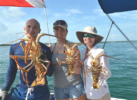 Florida spiny lobster season is officially open! | Biscayne Bay Tribune#