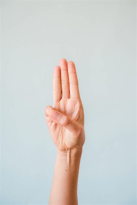 Person Doing Sign Language 的图像结果