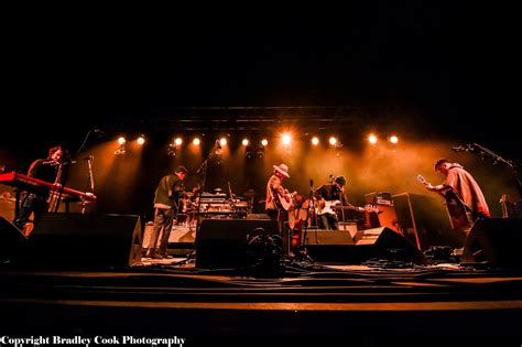 Modest Mouse Live Performances 的图像结果