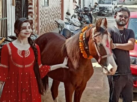 Smuggler absconding after stealing a Marwari breed horse tied outside ...