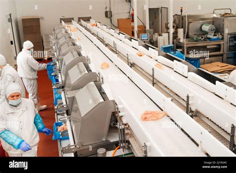 Inside Cattle Processing Plant Video 的图像结果