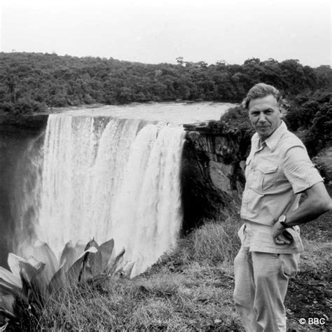 David Attenborough Just Turned 99. These Are the 5 Lifestyle Habits He ...