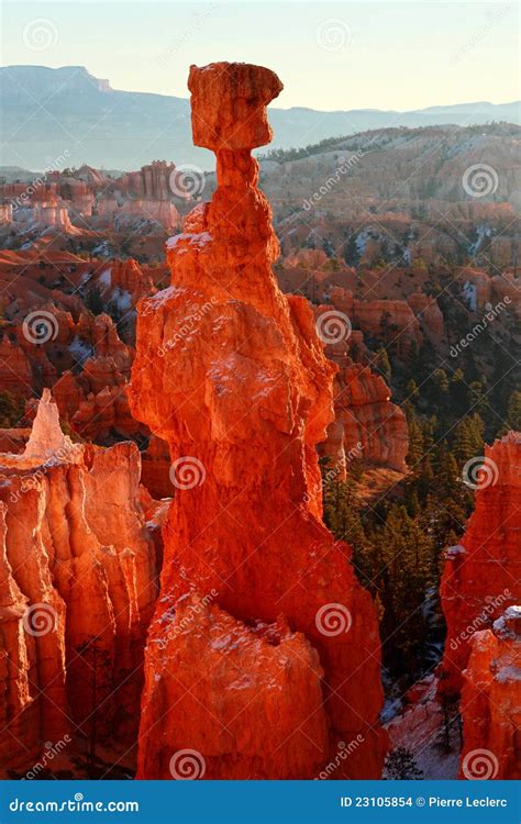 Thor S Hammer, Bryce Canyon Stock Photo - Image of hoodoos, hiking ...