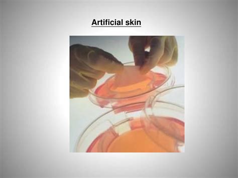 What Is Tissue Engineering 的图像结果