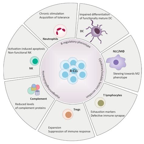 Inmune Multimodal Frontiers | Multi Modal Single Cell Sequencing
