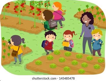 Image result for Example of Pattern Check