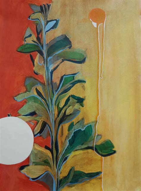 Nature in my spirit – Abir Space