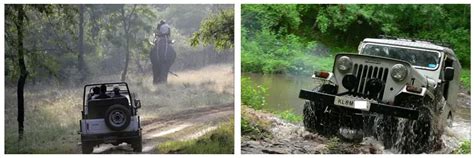 Jeep ride to agricultural farms - Getaways - Kerala