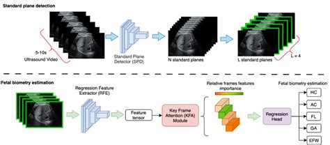 Image result for Direct Biometry