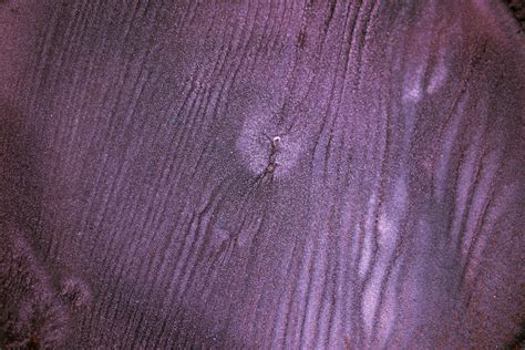 Alien Texture Background 的图像结果