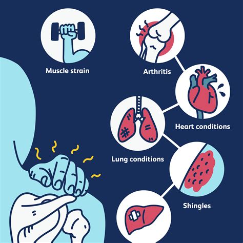 Pulled Muscle In Shoulder Blade - Shoulder Nerve Injury Injuries Everything You Need To Know Dr ...