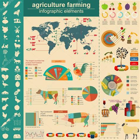 Agriculture Infographic 的图像结果