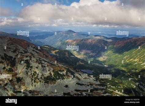 Image result for Timber Line