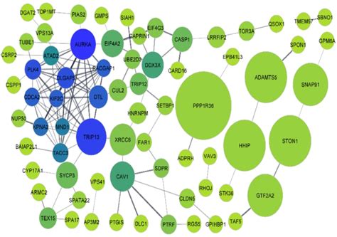 A Comparative Cross-Platform Analysis to Identify Potential Biomarker ...