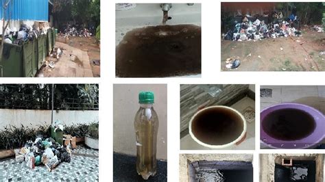 Petition · Osian Chlorophyll(Porur)- Deteriorating condition, Health ...