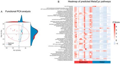 Limited Microbial Contribution in Salt Lake Sediment and Water to Each ...