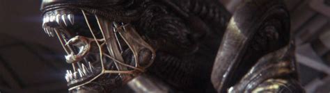 Image result for Alien Isolation Xenomorph Vision Cones