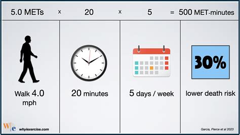 Walking Exercise Calculator at Nathan Oneill blog