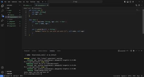Struct Rust Example 的图像结果