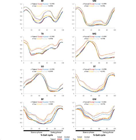 Image result for Muscle Activity EMG