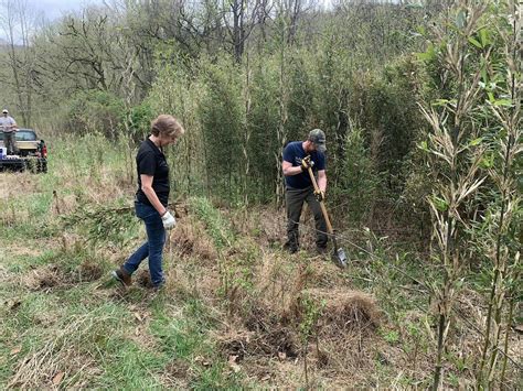 Planting Event for Native River Cane; Clinch River, UVA Wise Oxbow ...