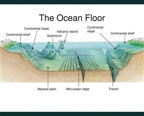 Sea Floor 的图像结果
