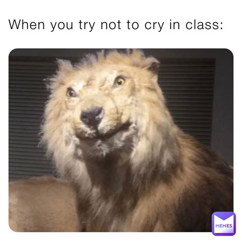 When you try not to cry in class: | @EK1ng123 | Memes