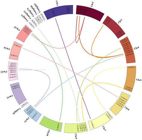 Genome-Wide Identification and Characterization of Calmodulin and ...