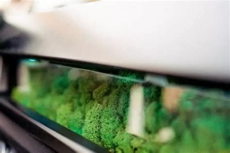 Sion Solar Car With Dead Moss In Dashboard To Act As Air Filter