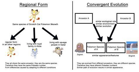 Convergent Evolution Vs Divergent Evolution