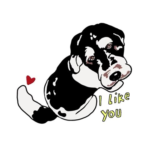 Image result for Cockapoo Memes