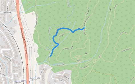 Plural of Nemesis Walking And Running Trail - Squamish, British ...