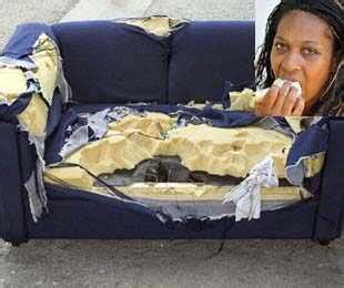 She's addicted to eating sofas