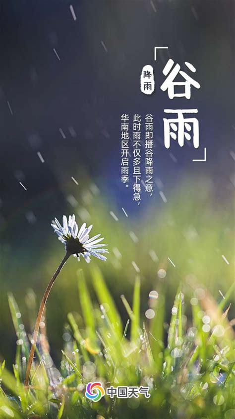 推荐10首优美的谷雨诗词鉴赏（春雨落，人间暮春好风光）-我爱育娃