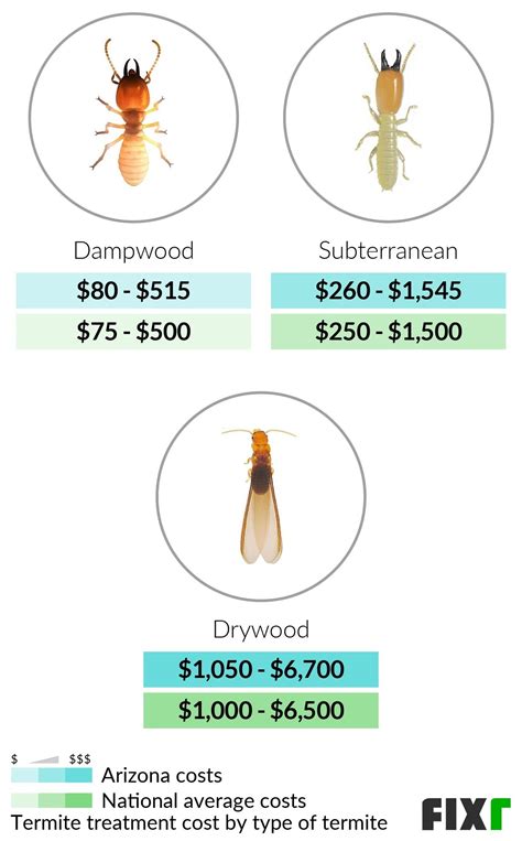 Cost of Termite Treatment in Arizona | Fixr.com