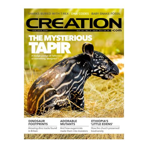 Image result for Creation Magazine Newest Programs