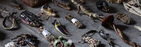 #RuthlessTrade - a FOUR PAWS campaign to fight commercial tiger trade ...