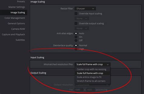 How to Crop Resolution in DaVinci Resolve 的图像结果