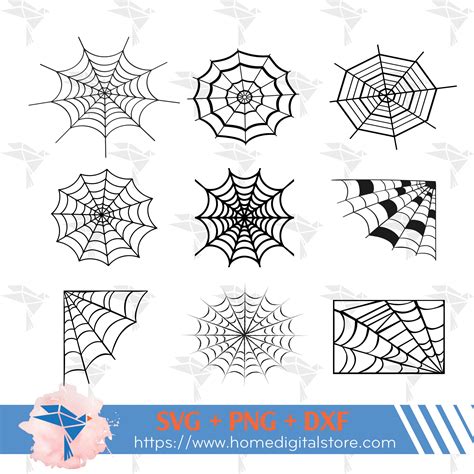 Spider Webs Designs