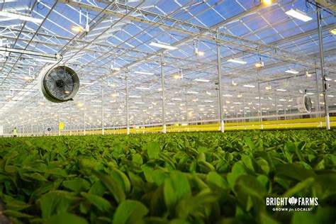 BrightFarms Extends Its Indoor Farming Stronghold to the Southeast with ...