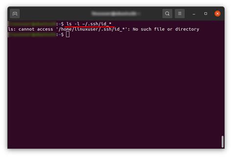 Image result for How to Set Up SSH Key Ubuntu