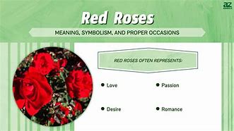 Image result for Red Rose Flower Bouquet