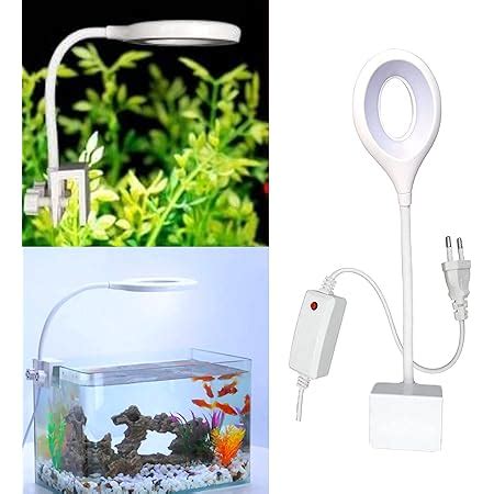 BURAQ Nano N - 6 Aquarium Lamp 25 Watt Aquarium Light White And Blue ...