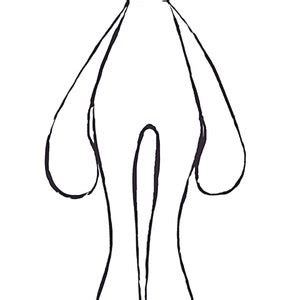 Image result for Basic Body Pattern