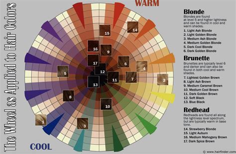 Hair Color Wheel - the best color for you is within 2 shades | Hair ...