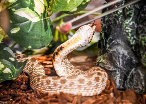 Hobe Sound Nature Center