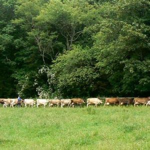 Celebrate National Cheese Lover’s Day with Cato Corner!, Cato Corner ...