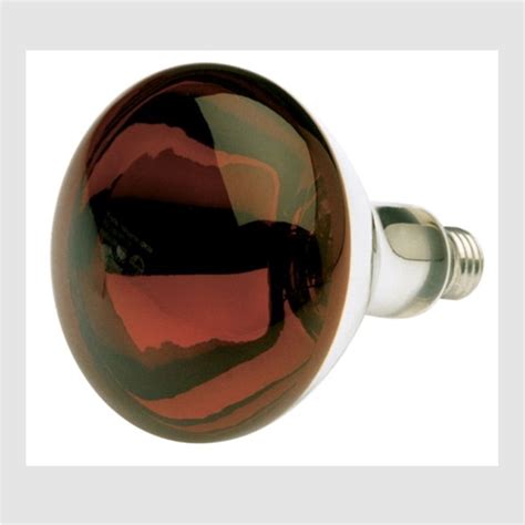 Infrared LED Bulb 的图像结果