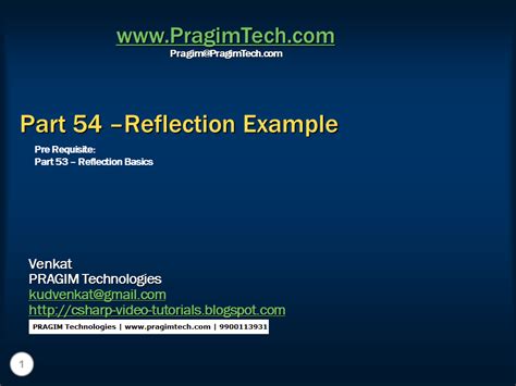 Reflection Database Application 的图像结果
